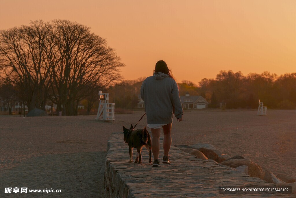 夕阳下人与狗漫步的温馨场景