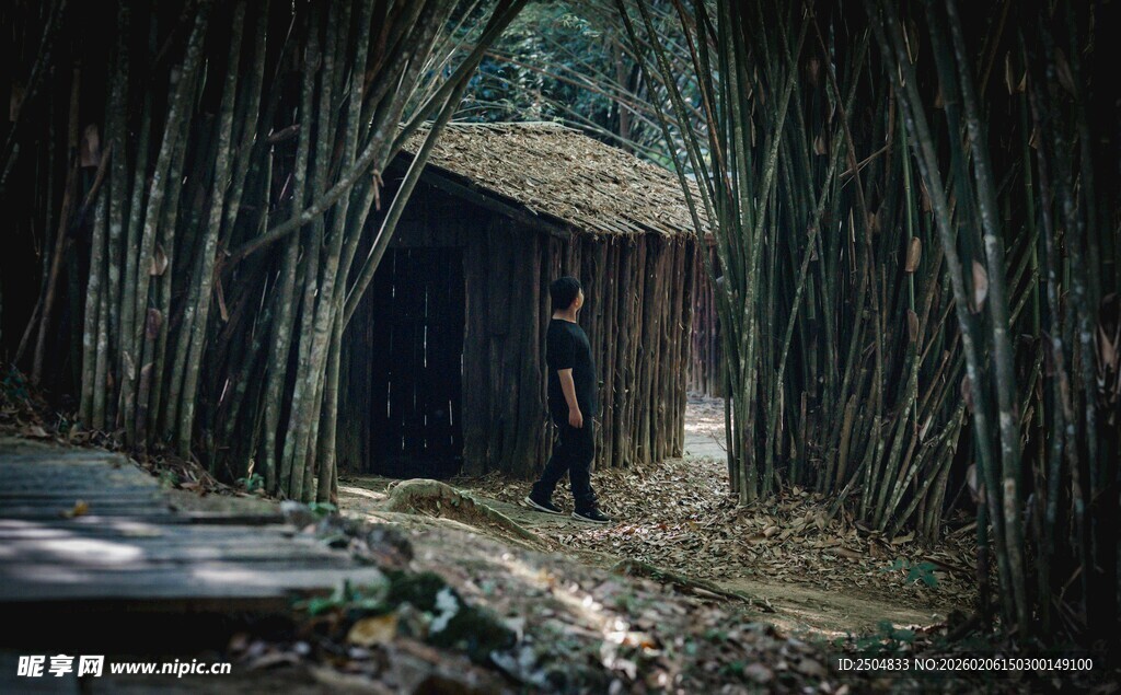 竹林中的古朴小屋