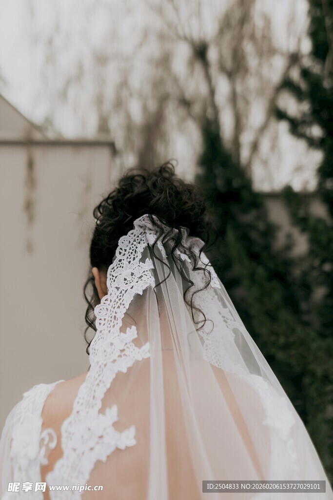 新娘唯美蕾丝头纱背影