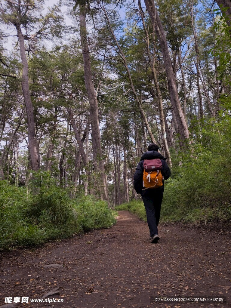 徒步者穿行于林间小道