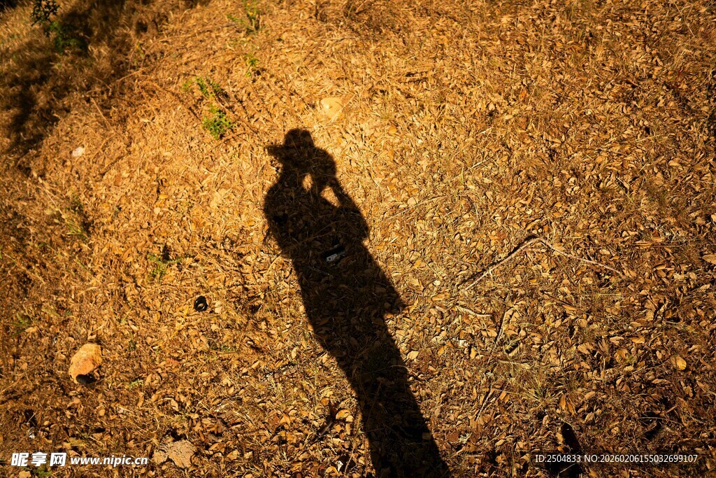 夜晚地面上的人物影子