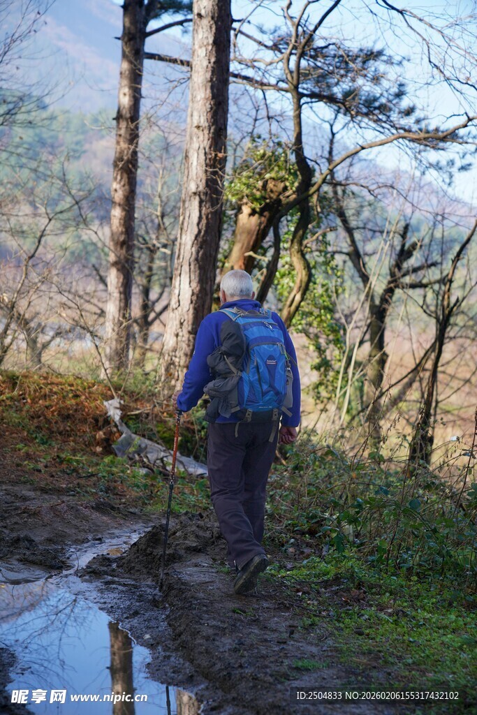 徒步者穿行于林间小溪旁