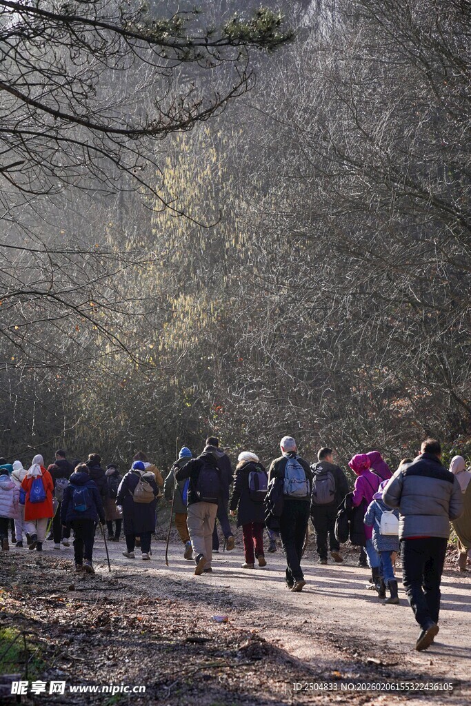林间徒步人群