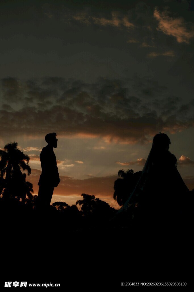 黄昏下的人物与植物剪影