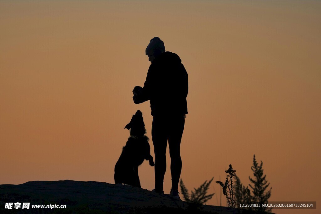 夕阳下人与狗的温馨剪影