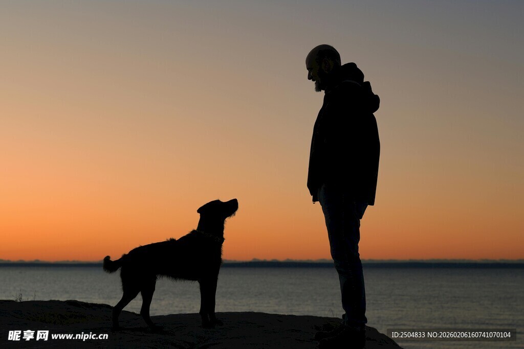 夕阳下人与狗的温馨剪影