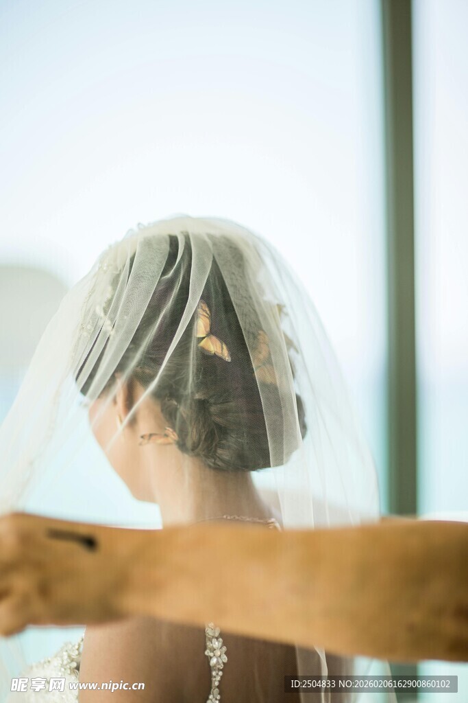 新娘背影 头戴美丽头纱