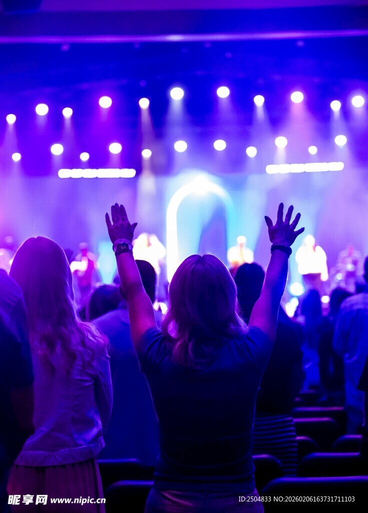 热闹演唱会现场观众互动