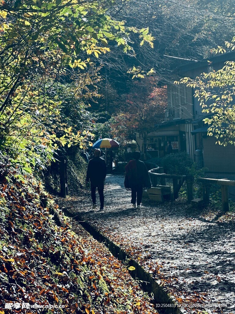 林间漫步小道上的行人