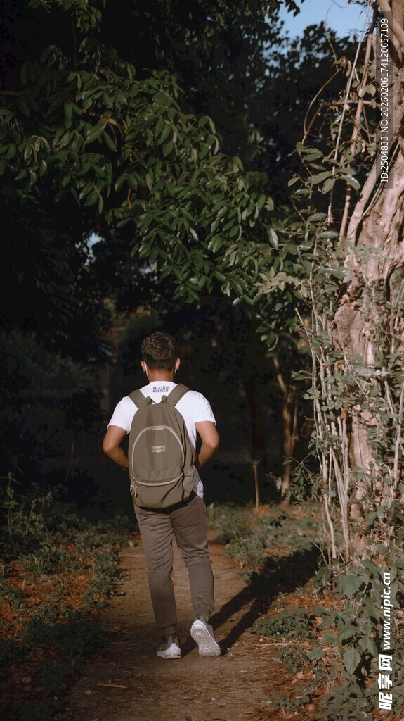 徒步者穿行于林间小道