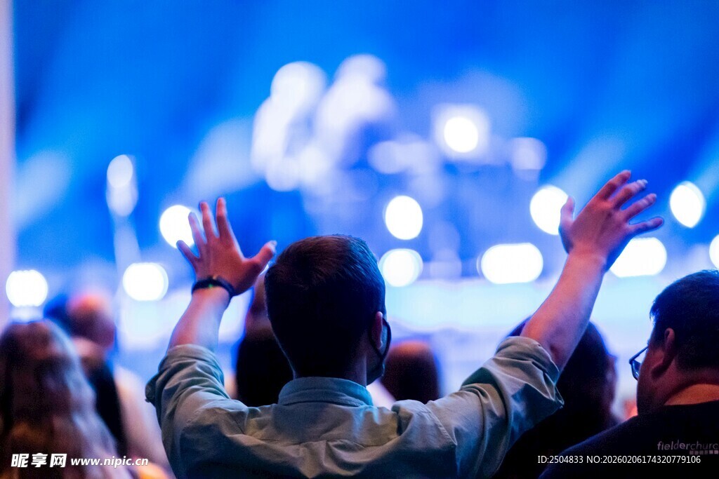 现场音乐会的热情观众