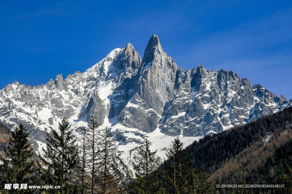巍峨雪山与葱郁林木景观