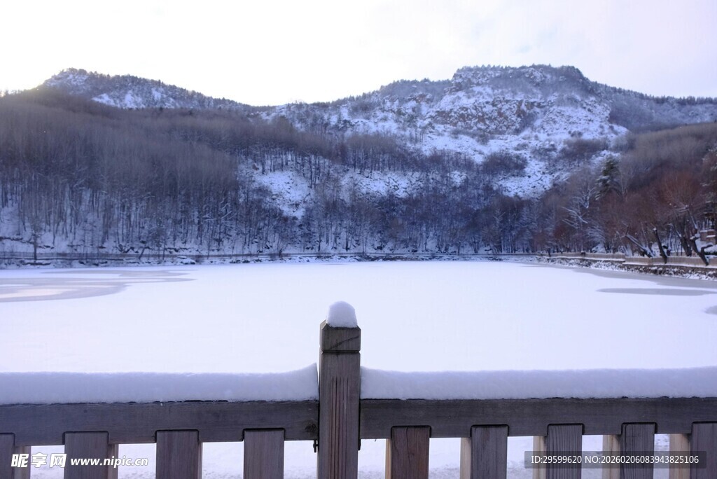 冬日雪景中的宁静湖岸
