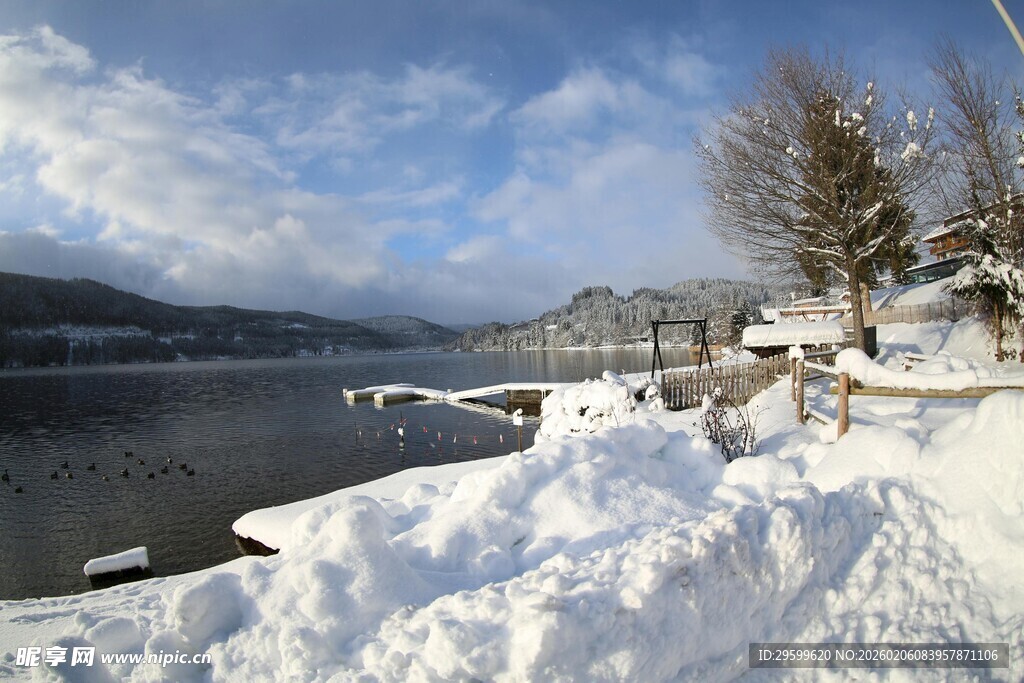 冬日湖畔雪景