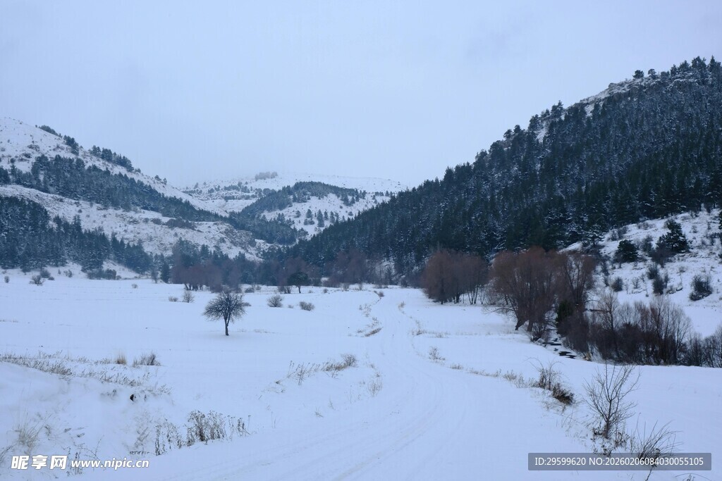 冬日雪景中的山间开阔地带