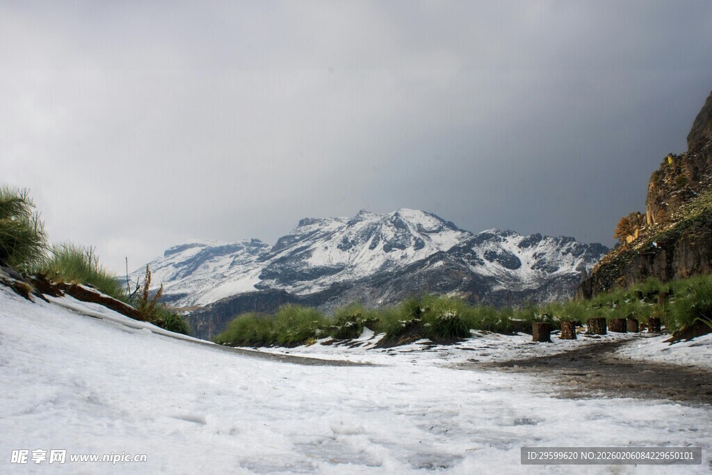 雪山下的荒野风景