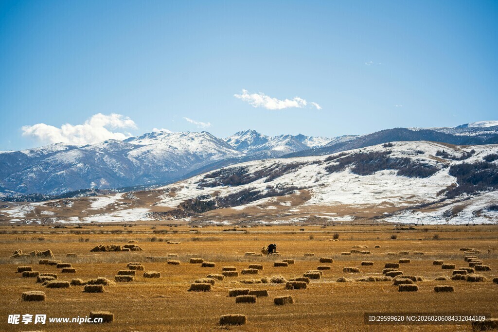 雪山下的广袤旷野