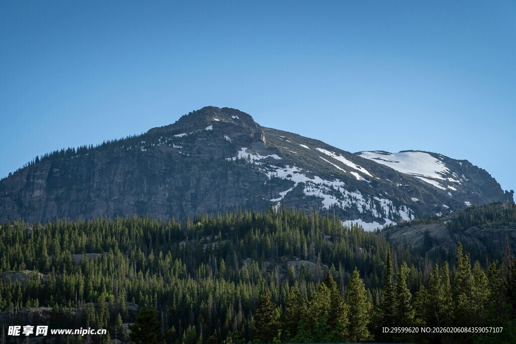 雪山下的茂密森林景观