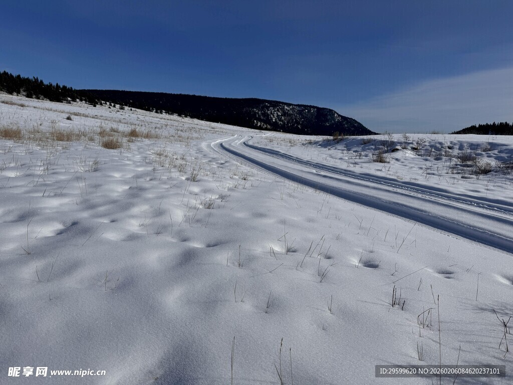 雪地中的车辙痕迹