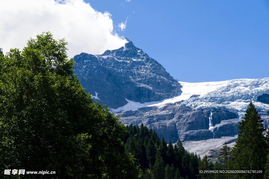 壮丽雪山与葱郁森林景观