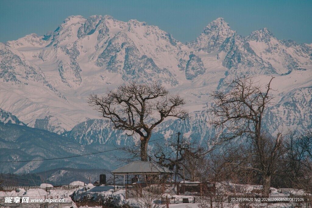 雪山下的孤寂冬日景象