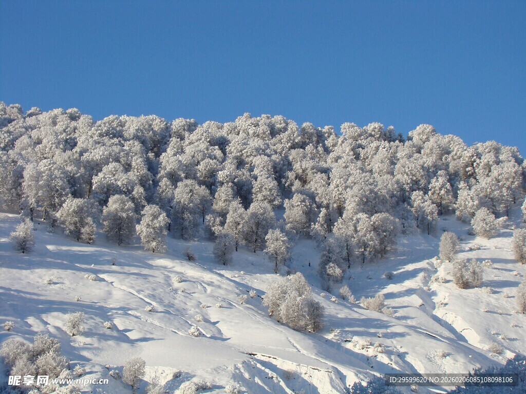 雪覆山林的冬日美景