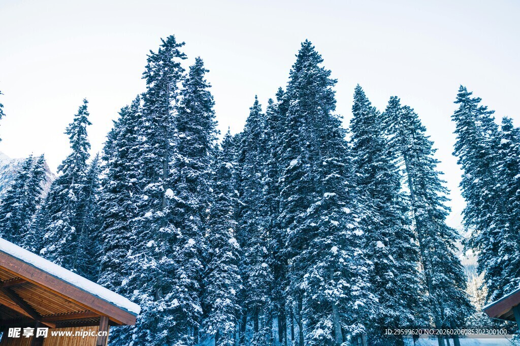 雪覆山林中的木屋美景