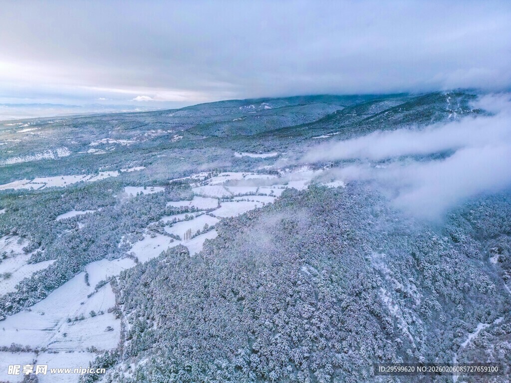 冬日雪覆大地壮丽景观