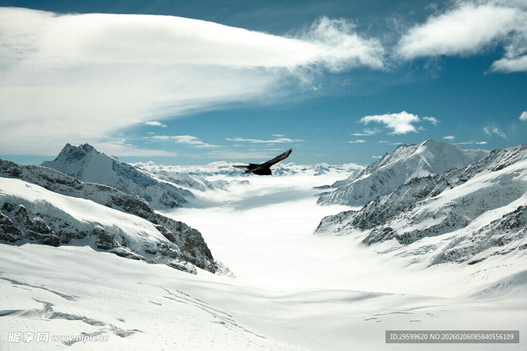 雪山之上飞鸟翱翔