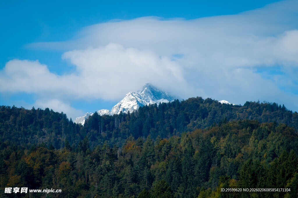 雪山隐于葱郁山林间
