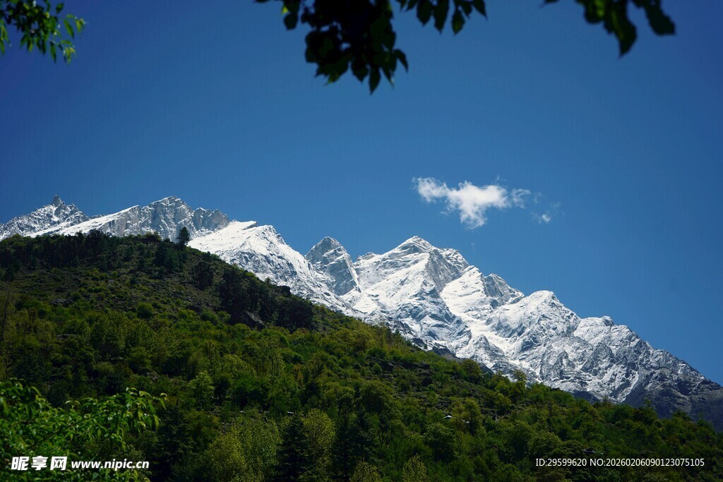 雪山下的葱郁山林