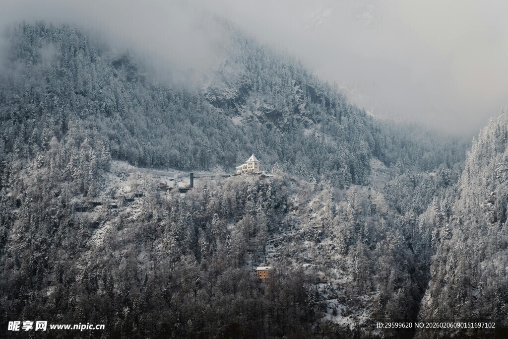 雪覆山林的静谧冬日景象