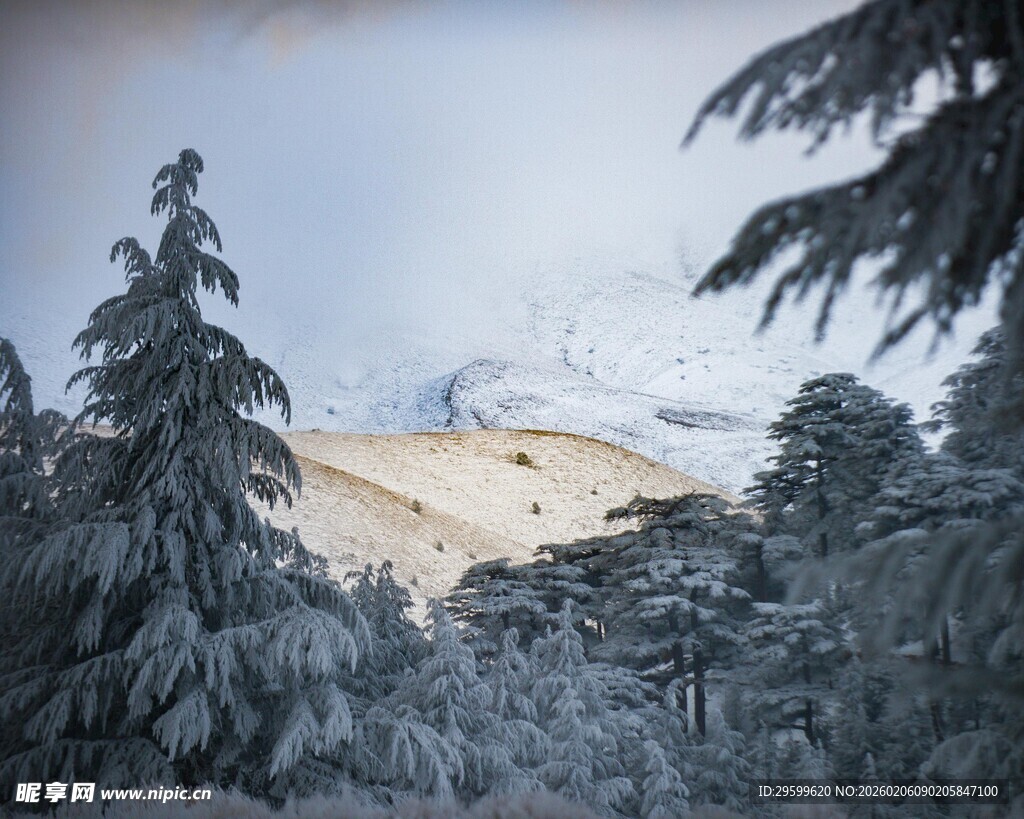 雪覆山林间的冬日美景