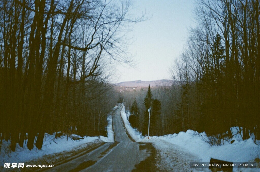 冬日雪覆林间道路