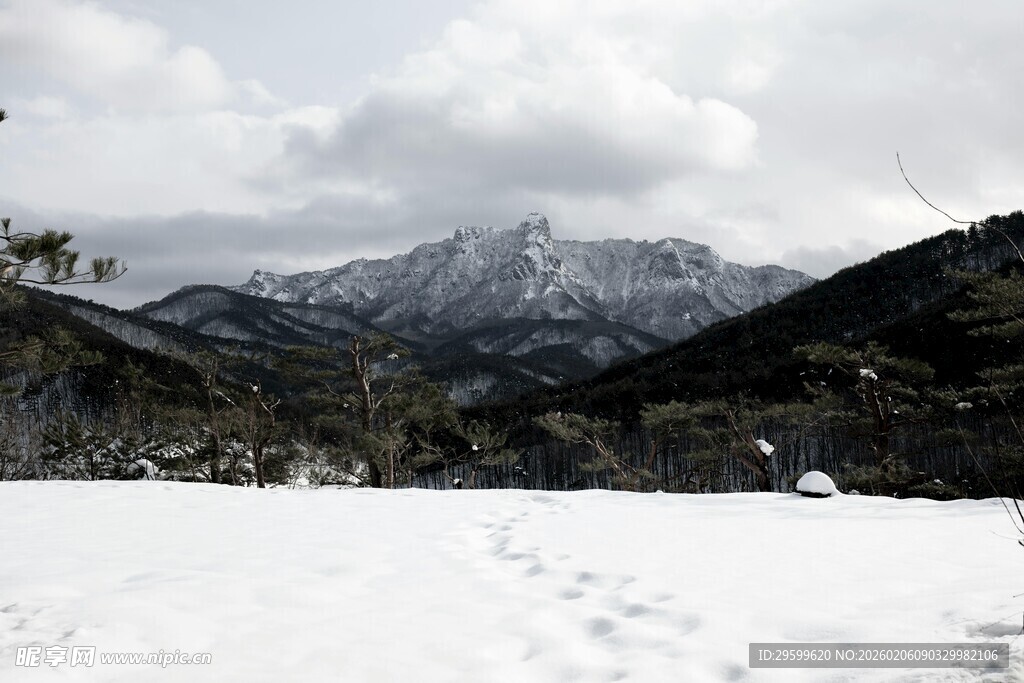 雪覆山峦的静谧风景
