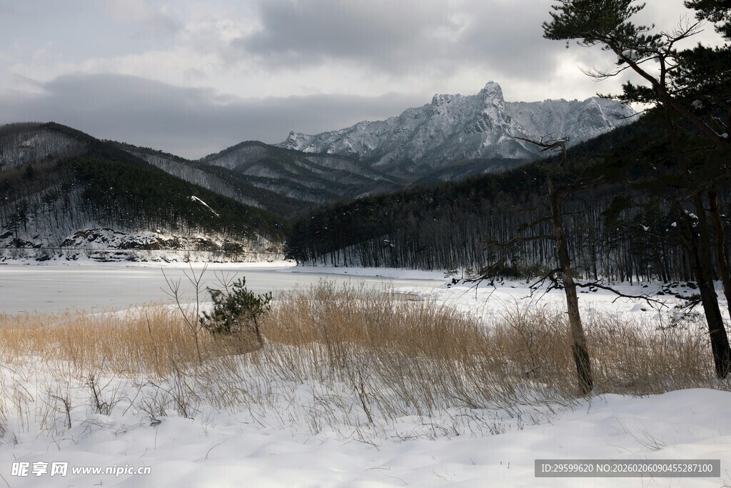 冬日雪覆山林湖畔美景
