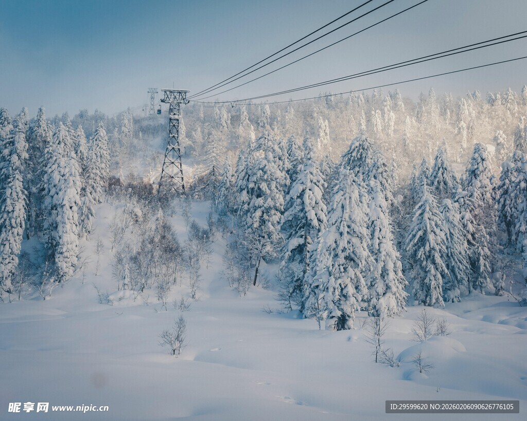 冬日雪林缆车美景