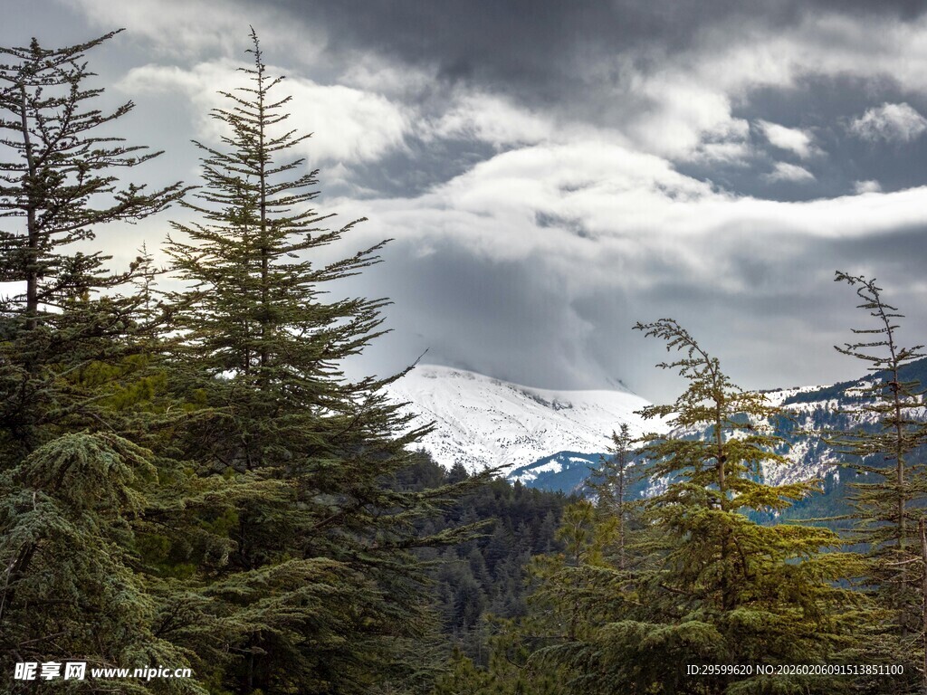 山林云海间的自然景致