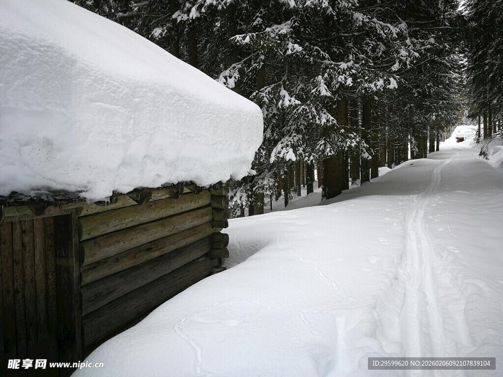 冬日雪覆小屋与林间小道
