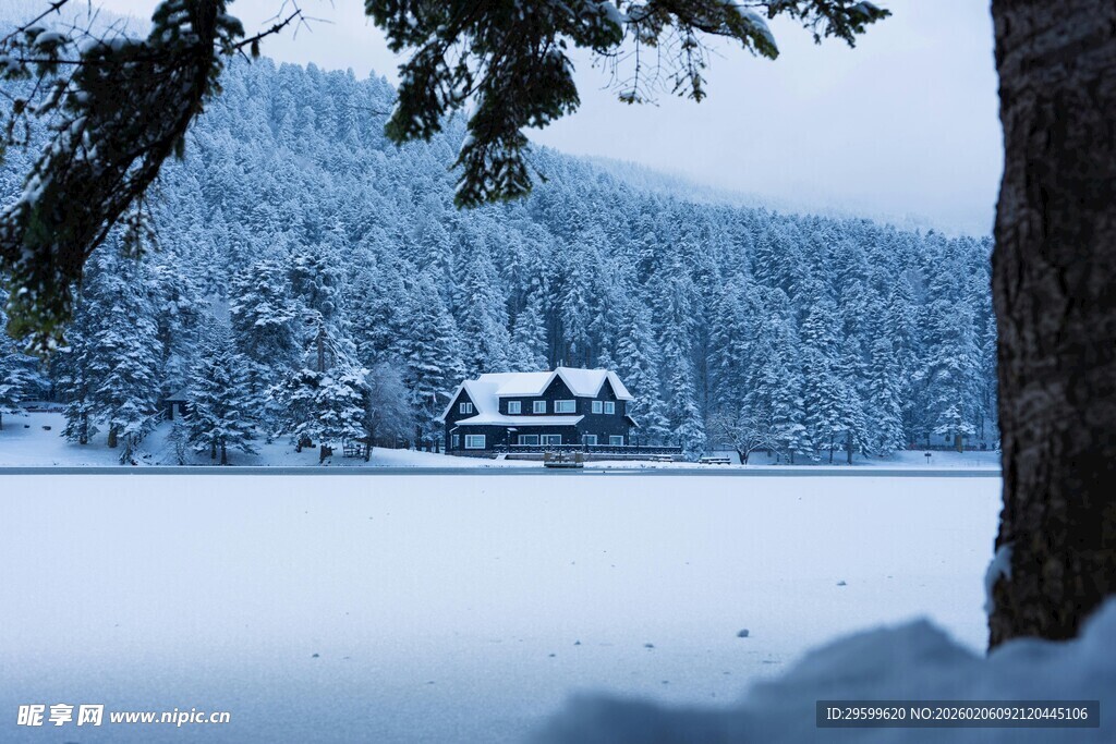 冬日雪景中的静谧小屋
