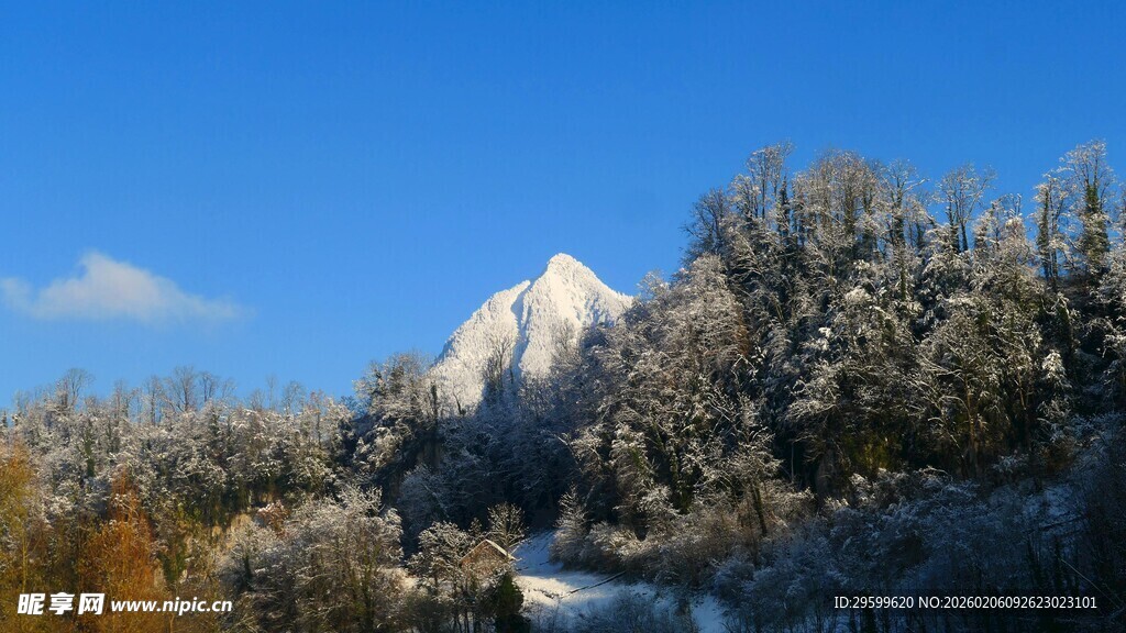 雪覆山林中的巍峨山峰
