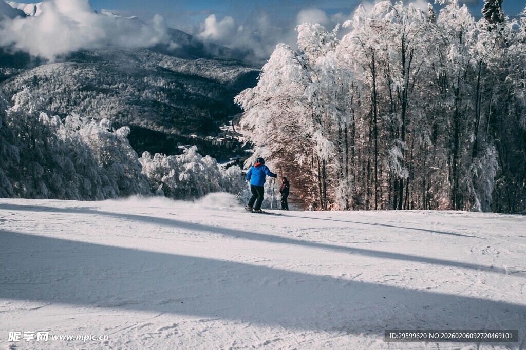 冬日雪林徒步者