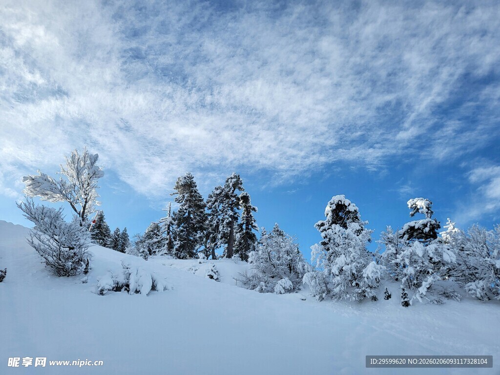 冬日雪景中的银白山林