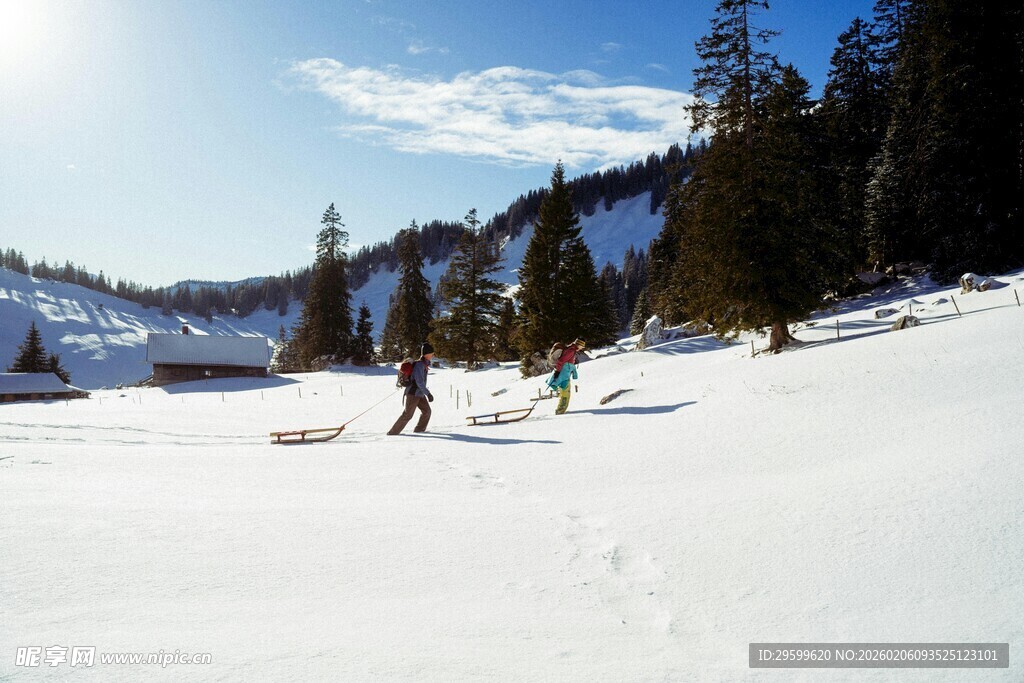 雪地中人们的滑雪场景