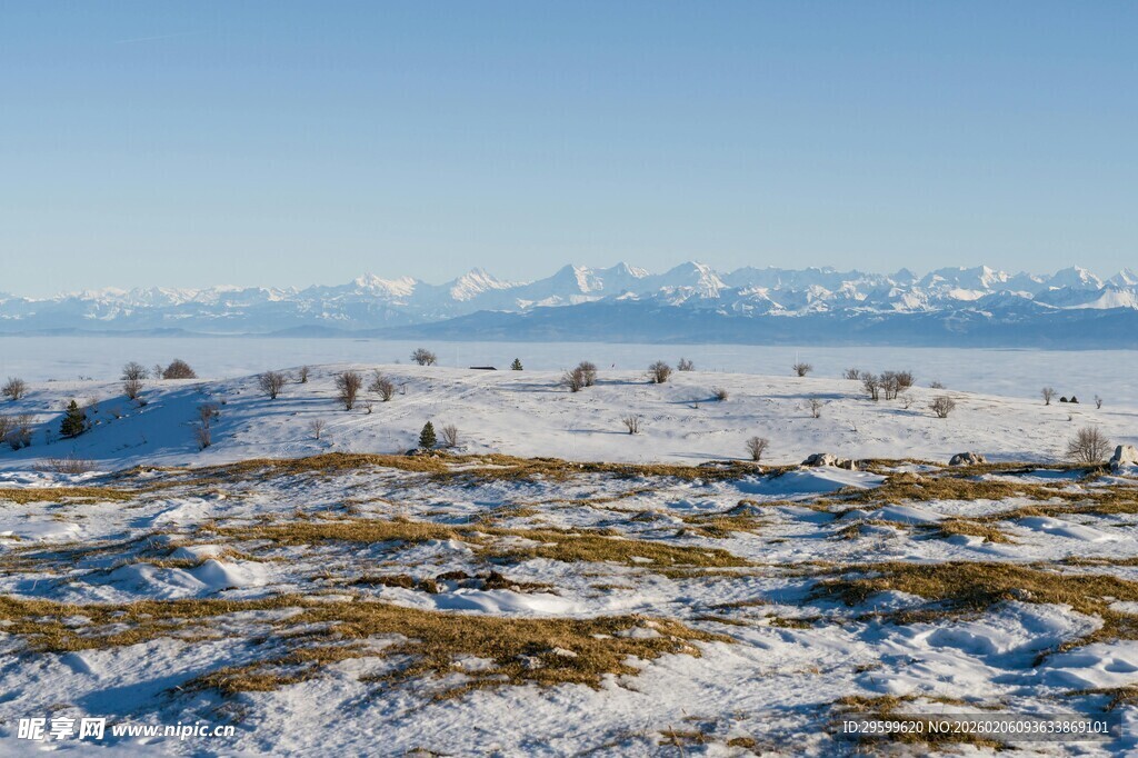雪覆原野的壮丽冬日景观