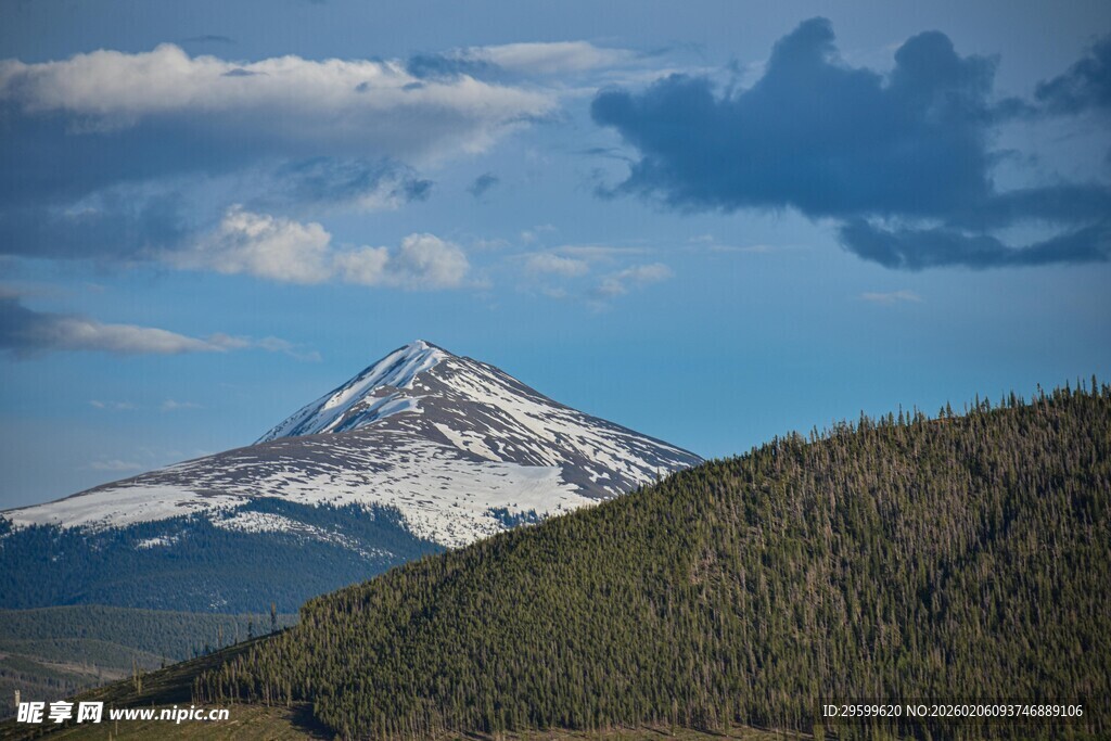 雪山下的葱郁山林