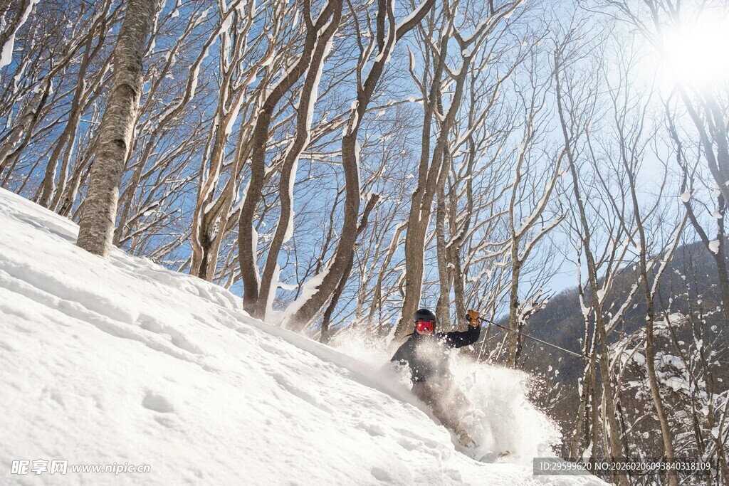 滑雪者在雪坡林间飞驰