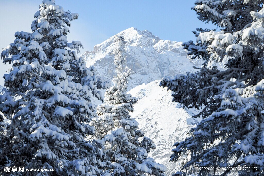 雪覆山林间的壮丽山景