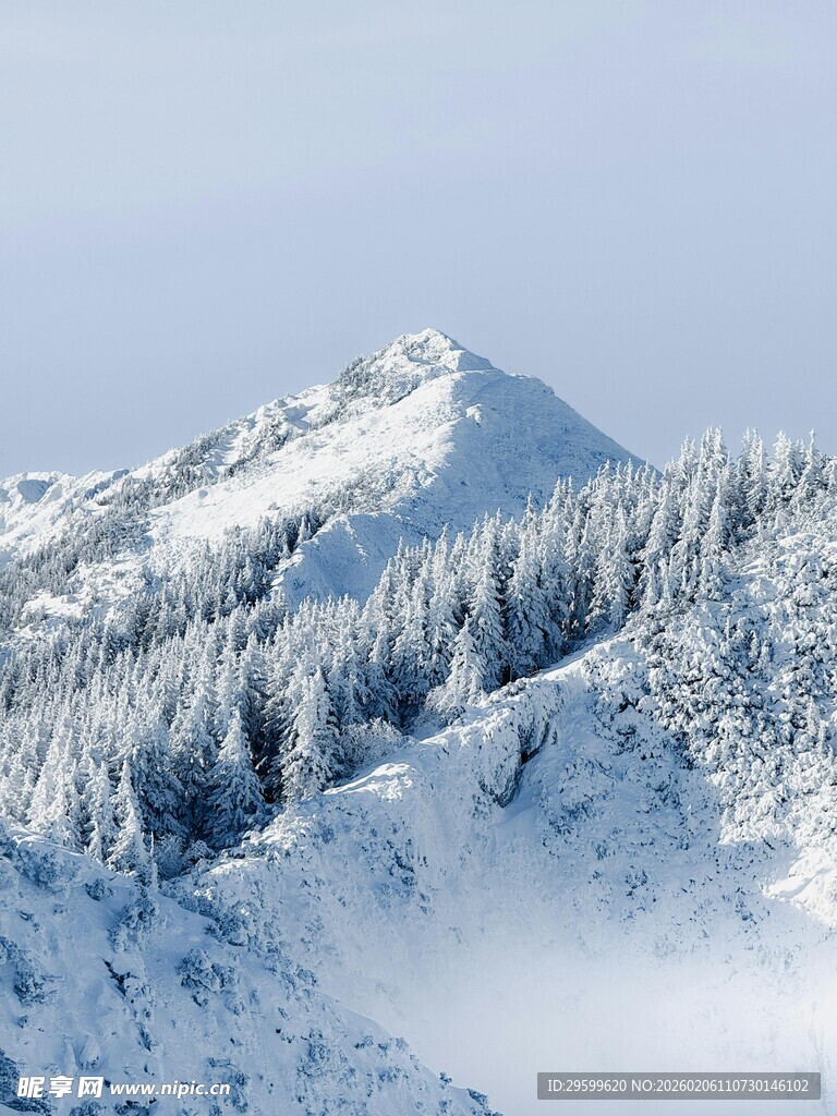 雪覆山林的壮丽山峰