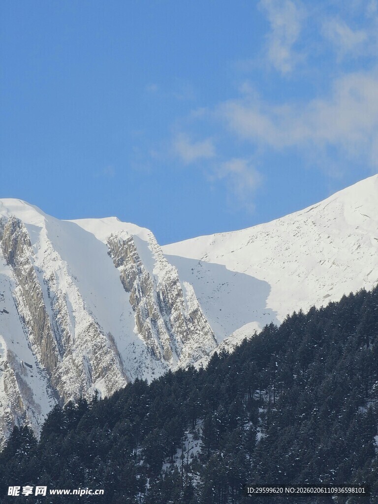 雪山巍峨与山林相映